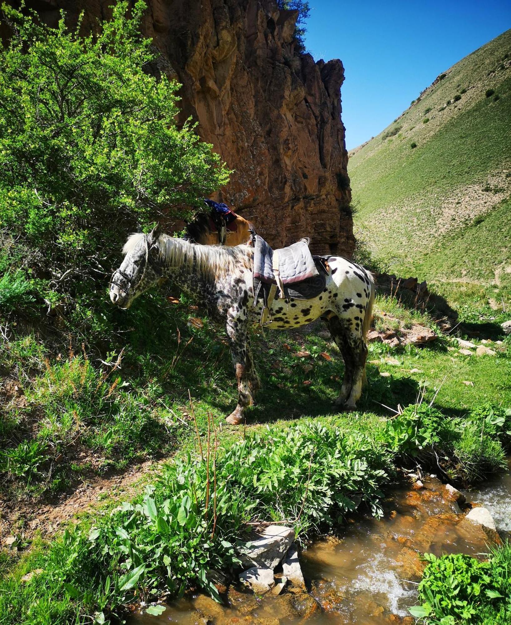 Guest House Bereke In Kyzart Village Bagysh Buitenkant foto